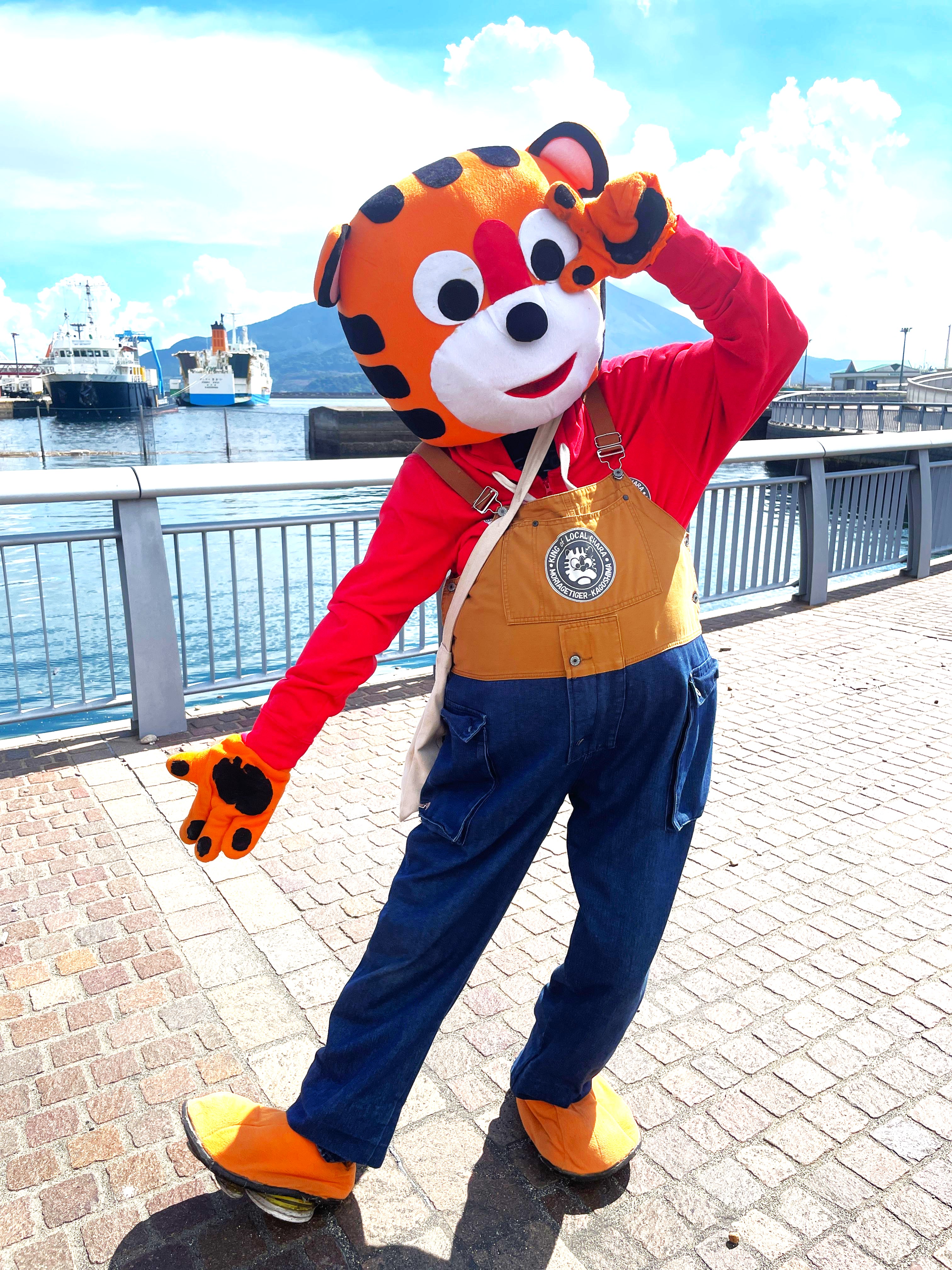 もりあげたいがー