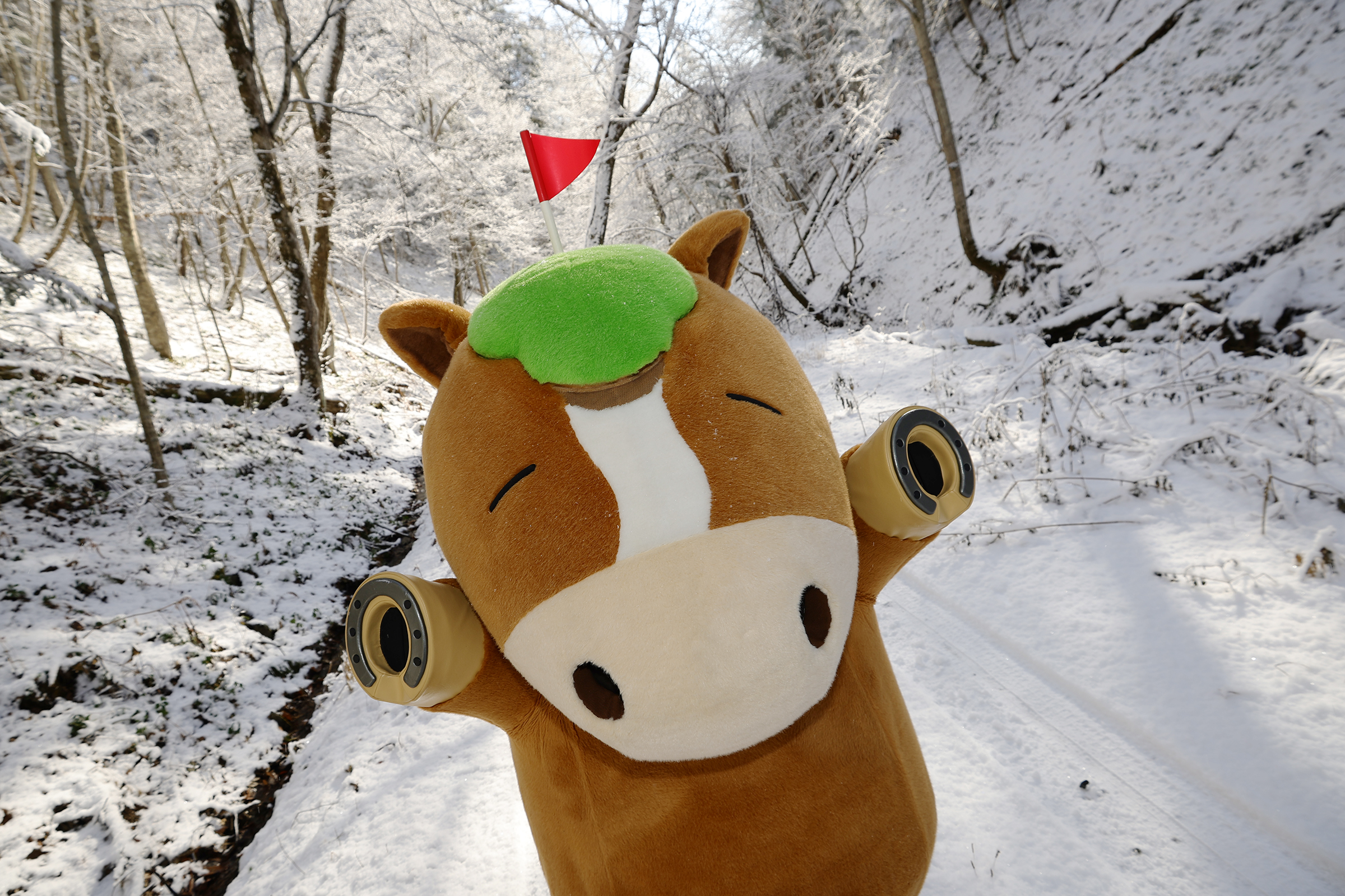 おけばんばくん